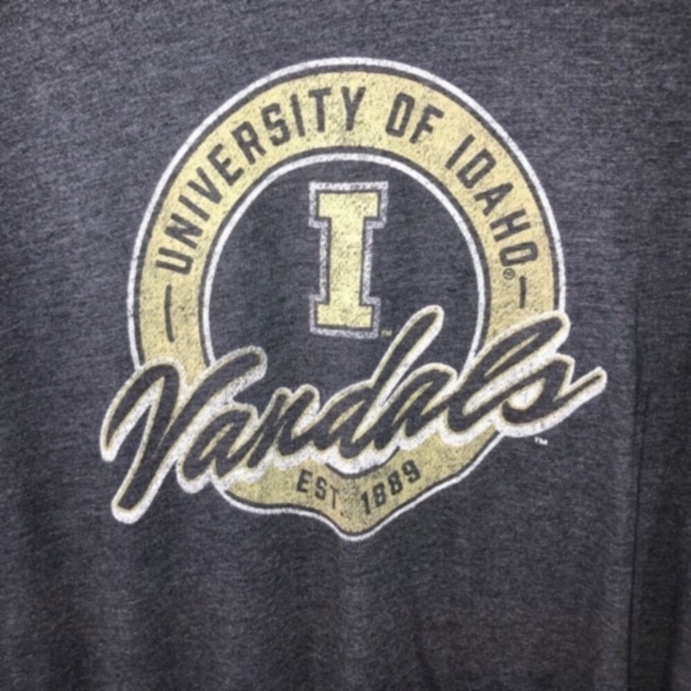Idaho Vandals High Low Tee Women’s Medium Gray NCAA Shirt Casual Graphic Top - Picture 3 of 4